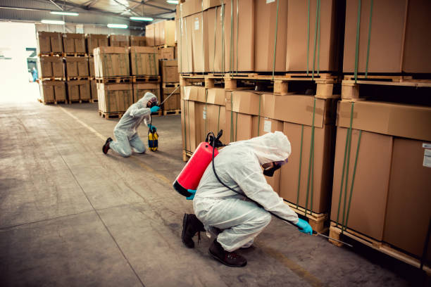 Best Residential Pest Control  in Helena West Side, MT