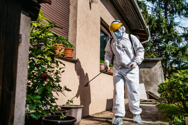Best Wildlife Control Services  in Helena West Side, MT