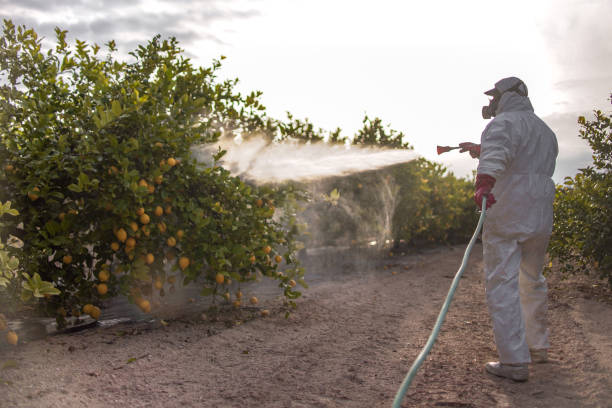 Best Affordable Pest Control Services  in Helena West Side, MT