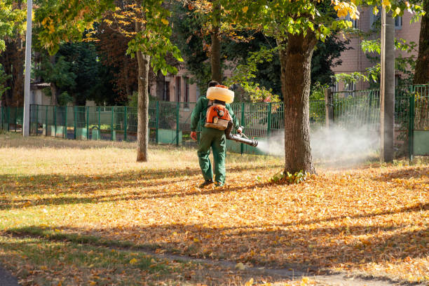 Best Emergency Pest Control  in Helena West Side, MT